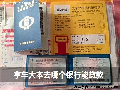 征信不好車輛綠本融資可以做嗎(征信不好車輛綠本融資可以做嗎)? (http://banchahatyai.com/) 知識問答 第1張