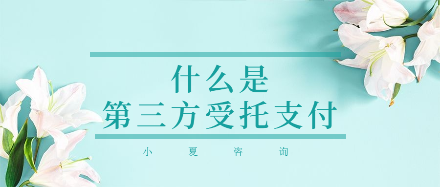 30萬按揭車抵押融資(車輛抵押融資)? (http://banchahatyai.com/) 知識(shí)問答 第3張