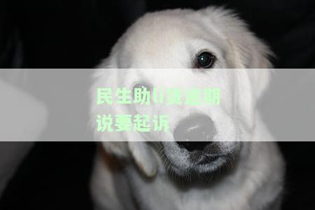 助貸公司貸款沒批下來(助貸批貸款下來沒公司怎么辦)? (http://banchahatyai.com/) 知識問答 第1張