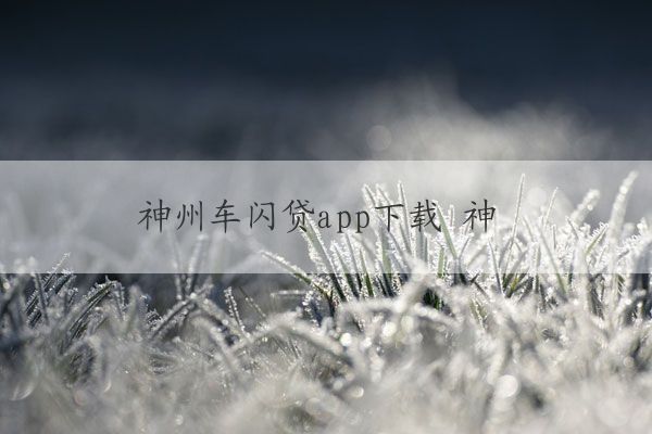 神州車(chē)閃貸app(神州閃貸抵押車(chē)安全嗎)? (http://banchahatyai.com/) 知識(shí)問(wèn)答 第1張