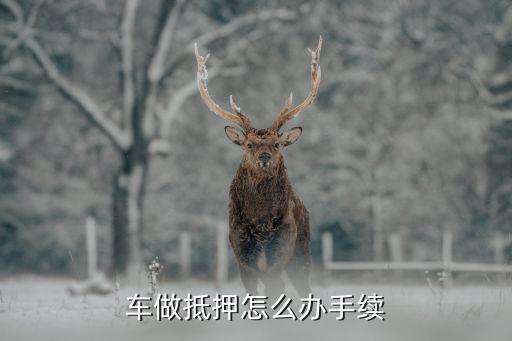 辦理車輛抵押貸款需要什么資料(抵押貸款車輛辦理資料需要哪些)？ (http://banchahatyai.com/) 知識(shí)問答 第1張