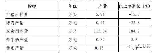 上海私家車抵押(上海抵押車私人抵押)？ (http://banchahatyai.com/) 知識問答 第2張